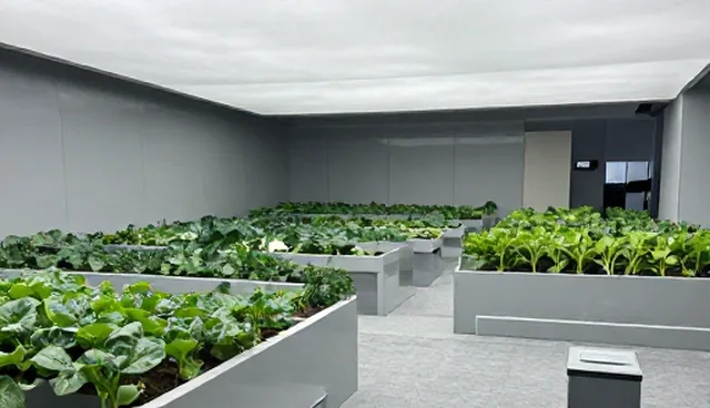 现代农业种植选型核对清单